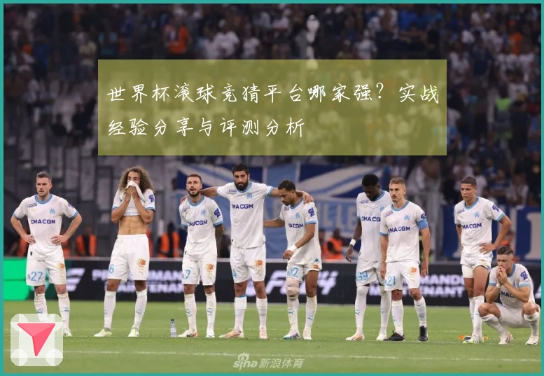 世界杯滚球竞猜平台哪家强？实战经验分享与评测分析