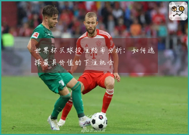 世界杯买球投注赔率分析：如何选择最具价值的下注机会