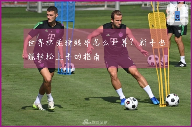 世界杯竞猜赔率怎么计算？新手也能轻松上手的指南