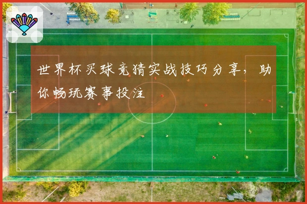 世界杯买球竞猜实战技巧分享，助你畅玩赛事投注