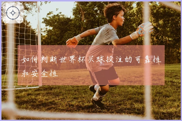 如何判断世界杯买球投注的可靠性和安全性