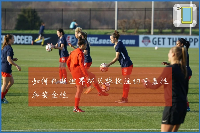 如何判断世界杯买球投注的可靠性和安全性