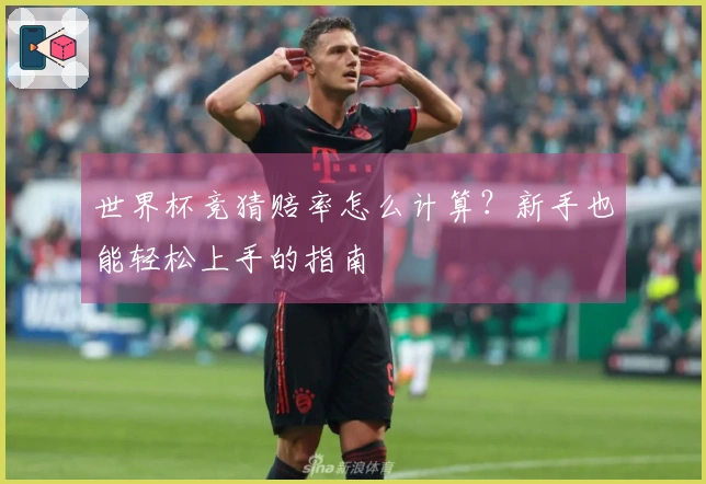 世界杯竞猜赔率怎么计算？新手也能轻松上手的指南